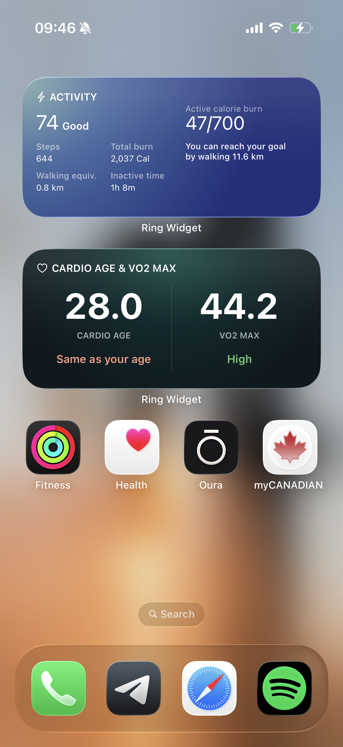 Ring Widget - Oura Ring widgets product update image 2