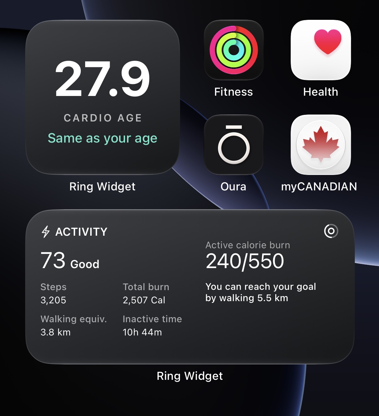 Ring Widget - Oura Ring widgets product update image
